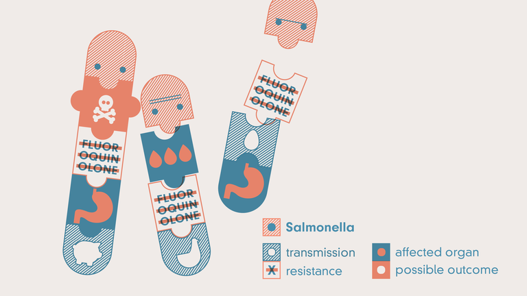 Illustration der Salmonellen mit Resistenz gegen Fluorquinolone