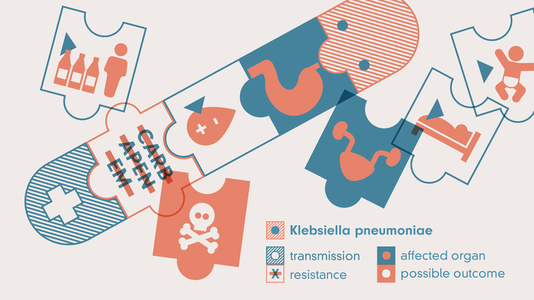 Illustration de Klebsiella pneumoniae mit Resistenz gegen Carbapeneme