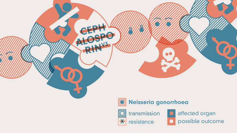 Illustration er Neisseria Gonorrhoea mit Resistenz gegen Cephalosporine