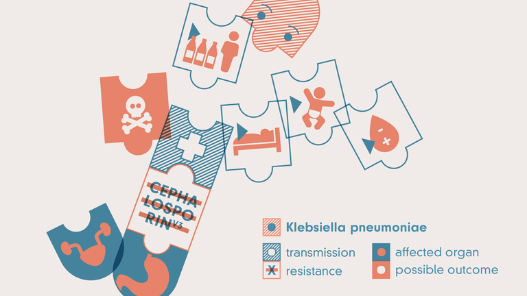 Illustration des Klebsiella pneumoniae mit Resistenz gegen Cephalosphorine