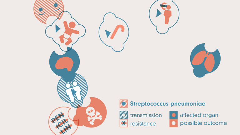 Illustration des Streptococcus pneumoniae mit Resistenz gegen Penicillin