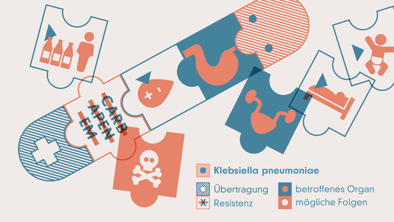 Illustration de Klebsiella pneumoniae mit Resistenz gegen Carbapeneme