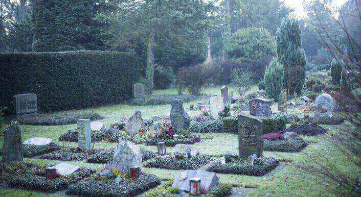 Graveyard: 10 million people will supposedly die of drug-resistant germs