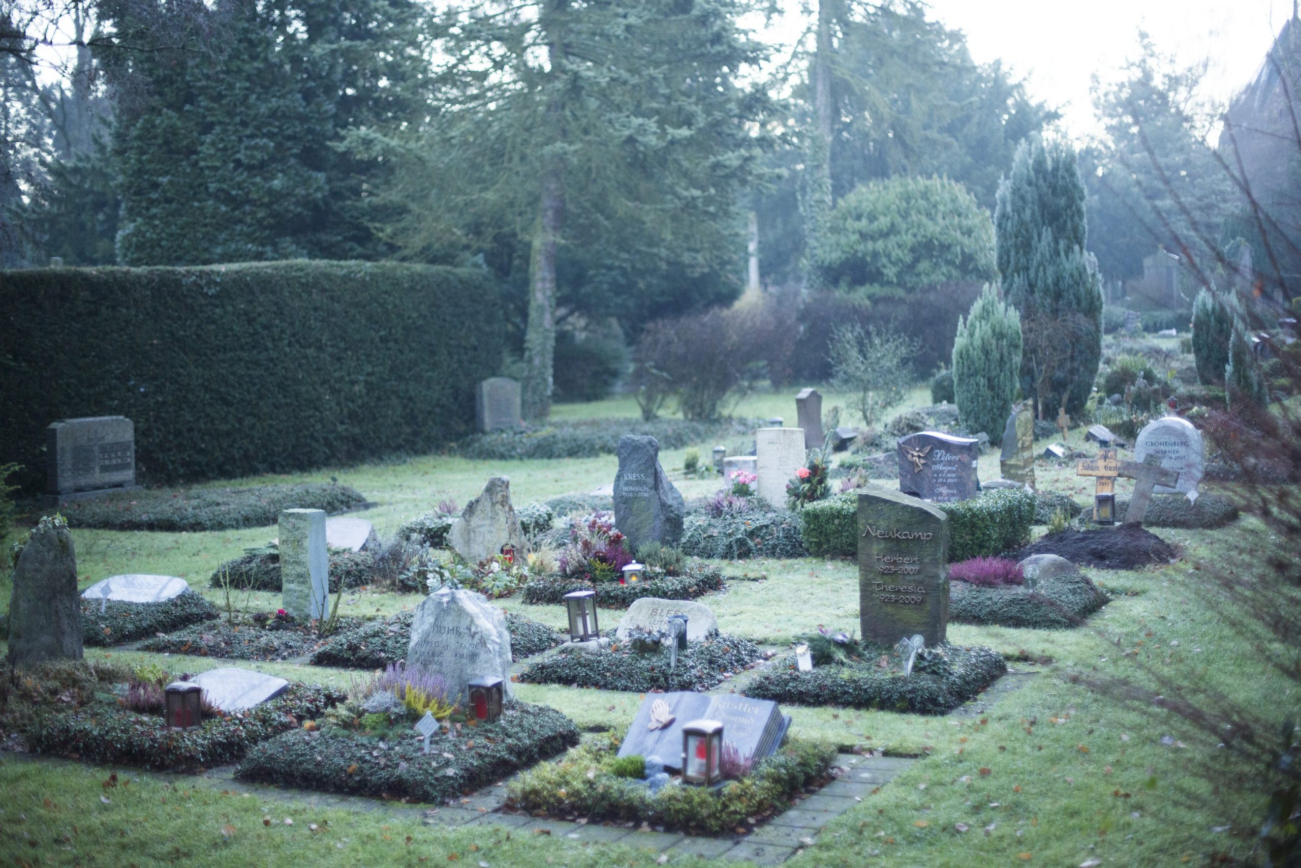 Graveyard: 10 million people will supposedly die of drug-resistant germs