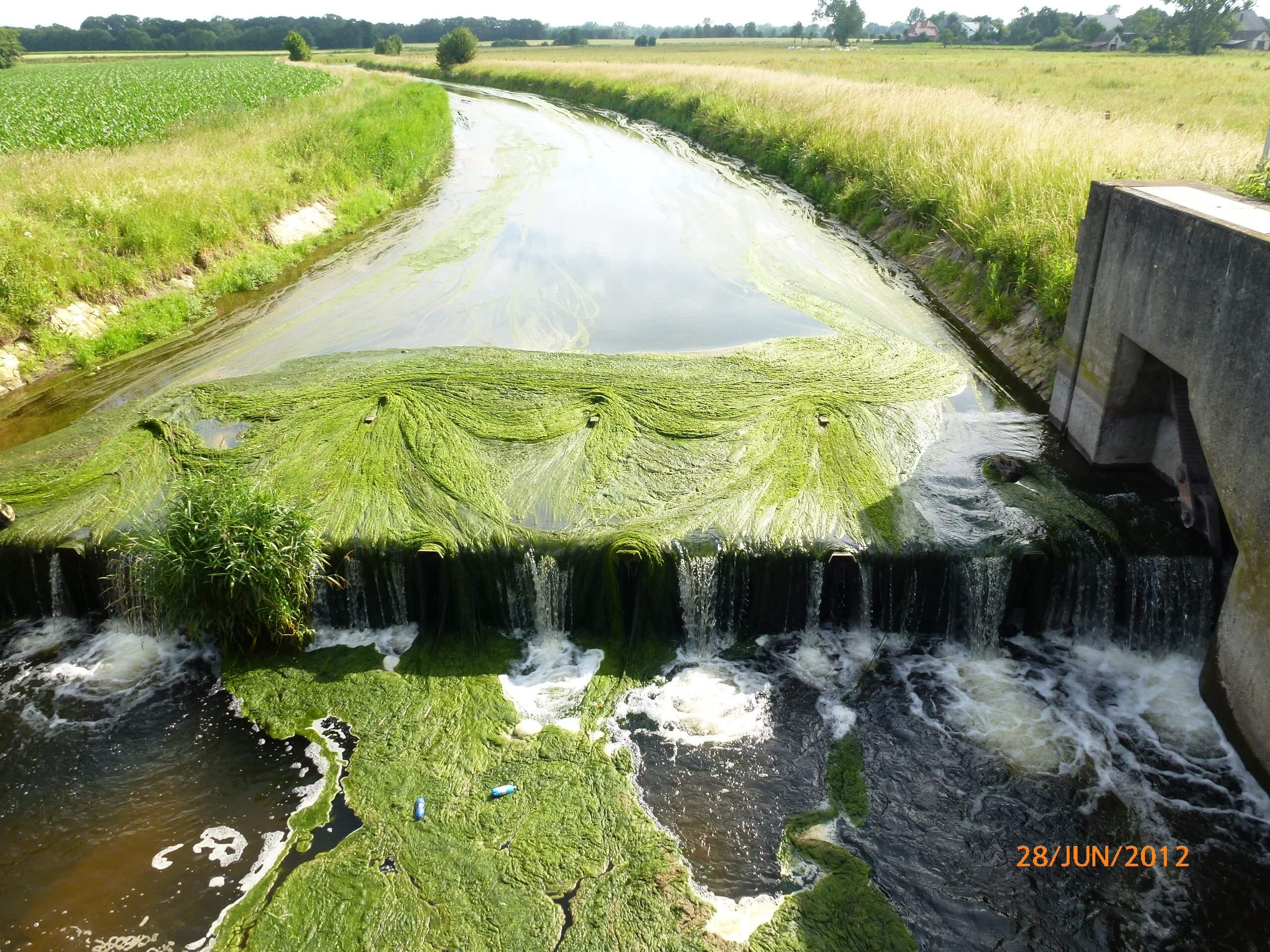 Wo Ein Glas Wasser Zur Straftat Wird