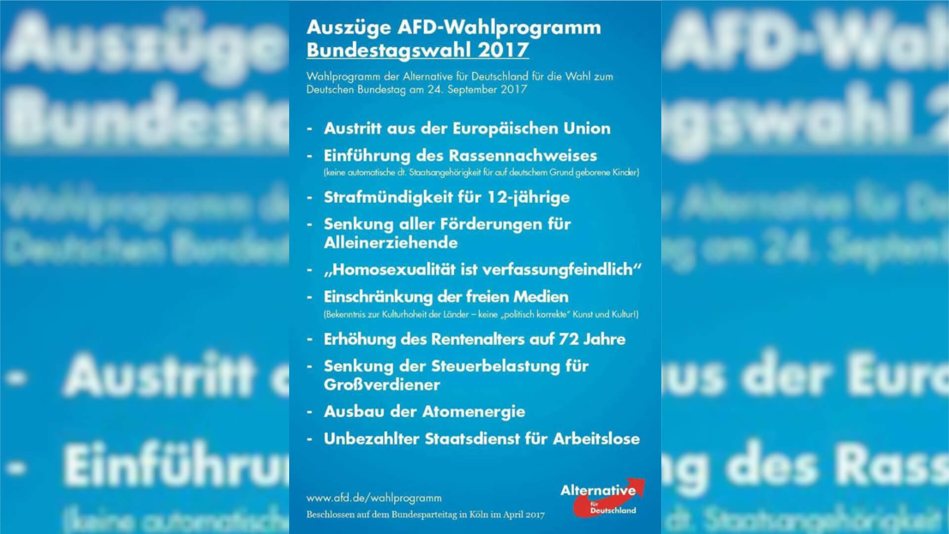 AfD Colllage Wahlprogramm