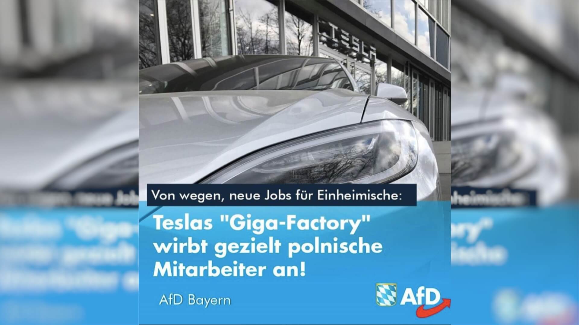 AfD-Tesla