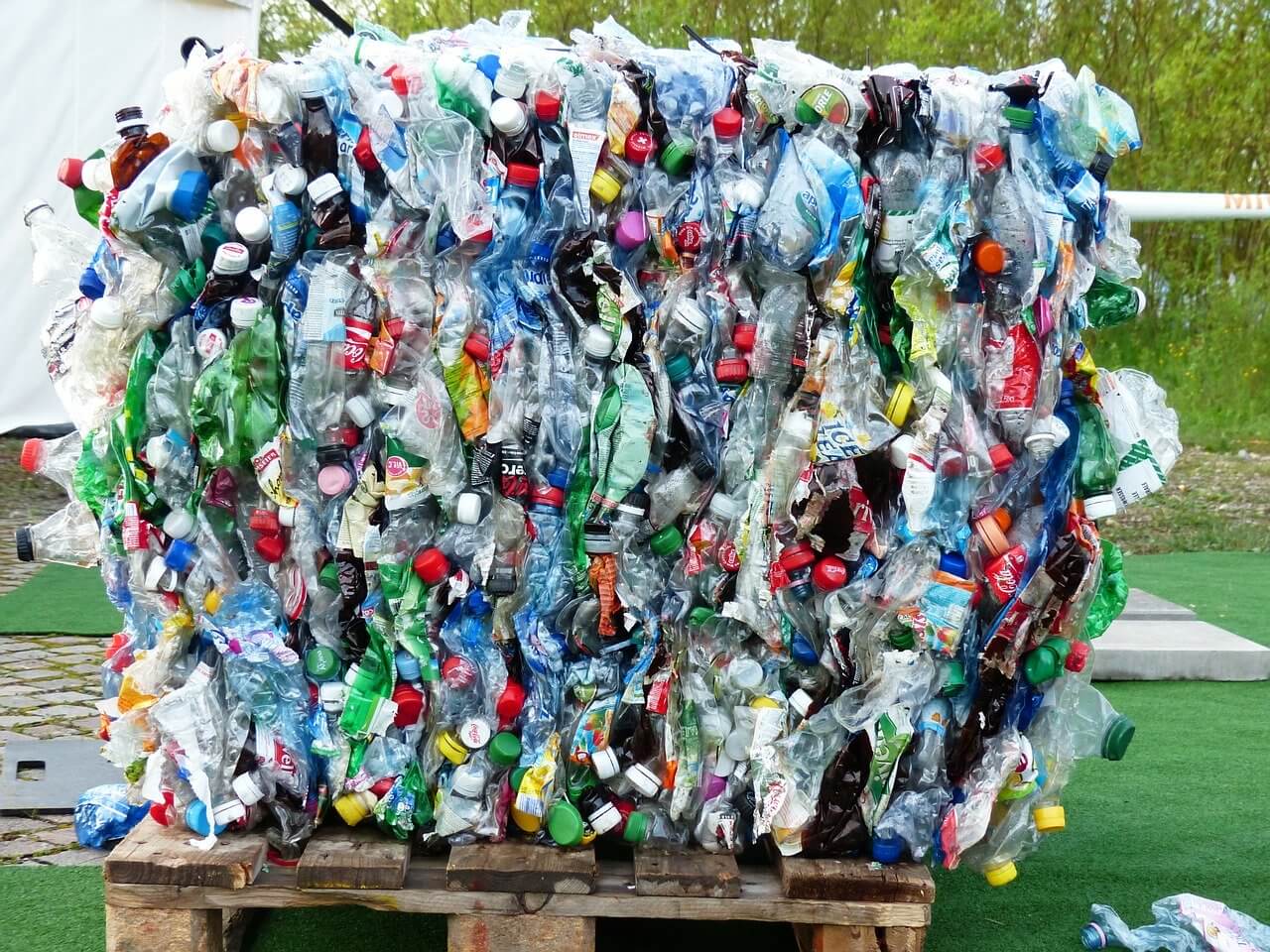 Auf diesem Bild sind viele zusammengeknüllte Plastikflaschen zu sehen.