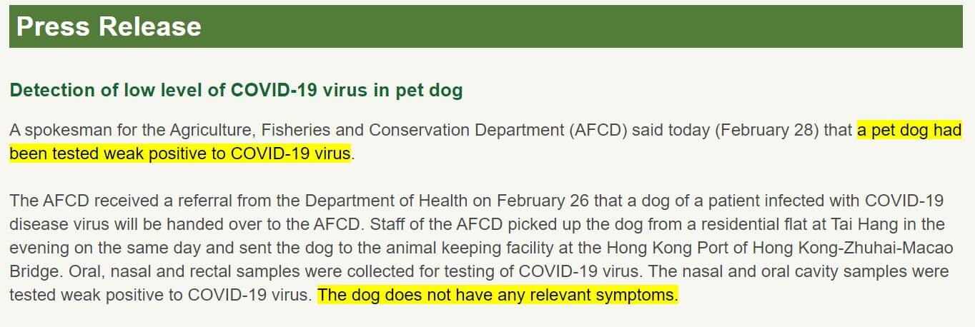 Auszug aus der Pressemitteilung aus Hongkong zum Coronavirus-Fall eines Hundes