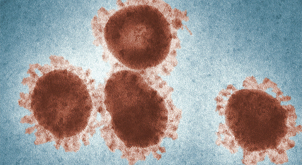 Data analysis: users find questionable information on the coronavirus especially on Youtube and disseminate it via Whatsapp