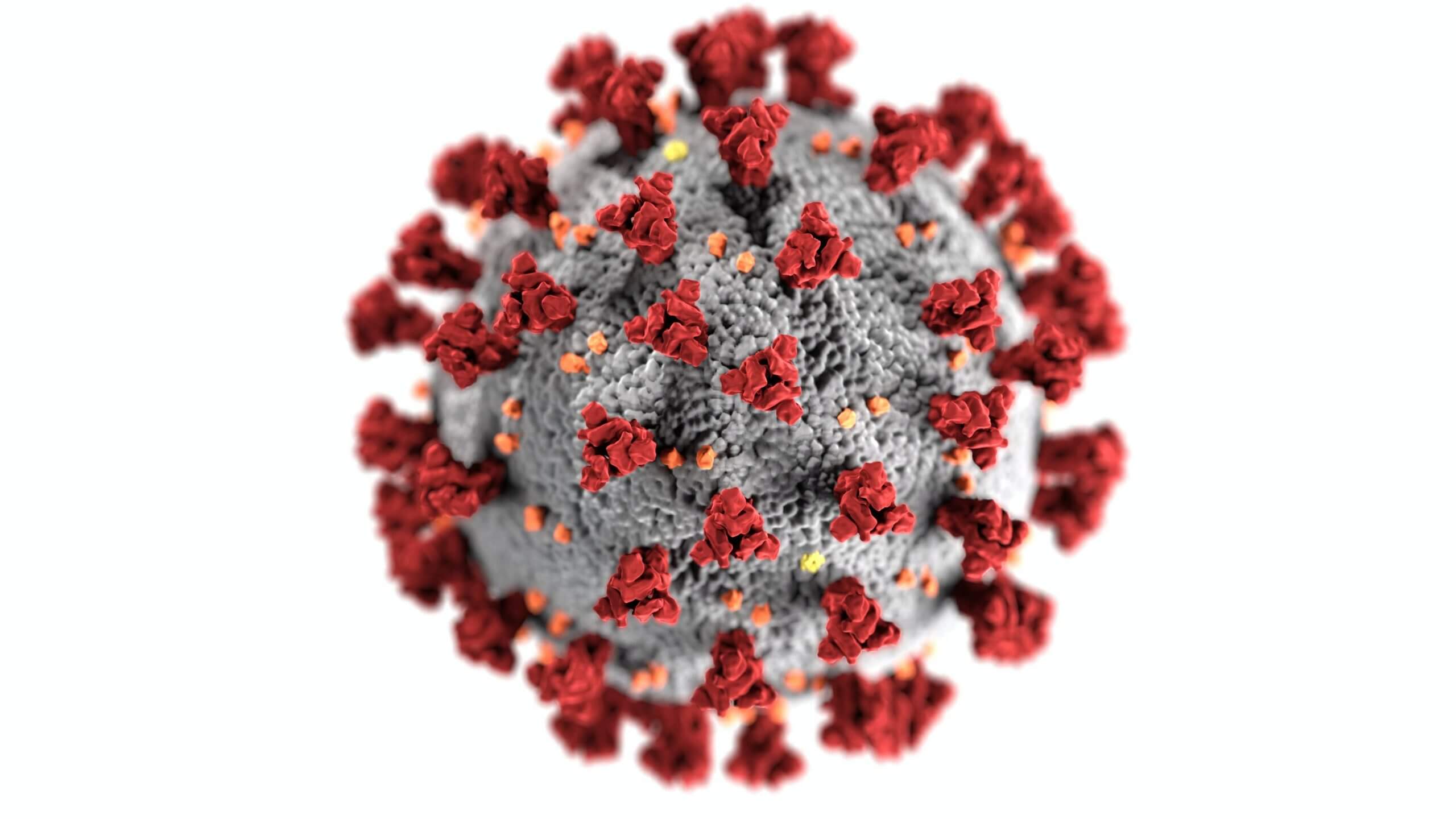 Diese Virus-Illustration zeigt, wie Coronaviren aufgebaut sind.