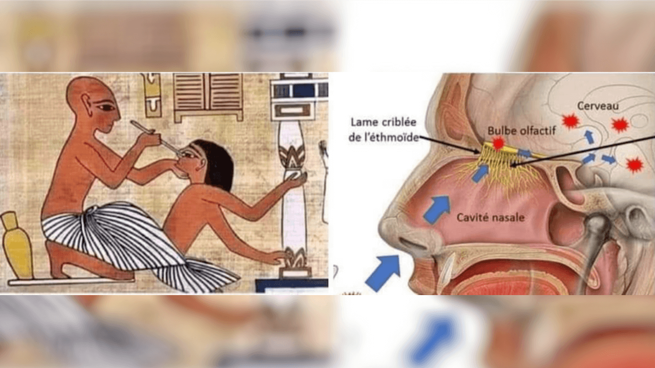 Auf Facebook wird mit diesen Bildern ein falscher Zusammenhang zwischen der Durchführung eines Nasenrachenabstrichs beim Corona-Test und einer Behandlungsmethode im Alten Ägypten hergestellt. (Quelle: Facebook / Screenshot und Collage: CORRECTIV.Faktencheck)