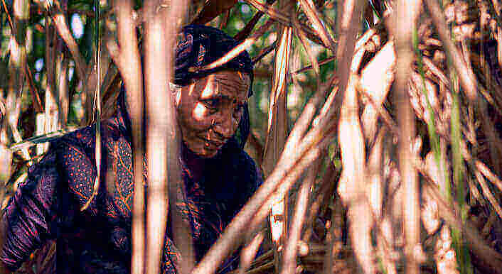 harvest worker india