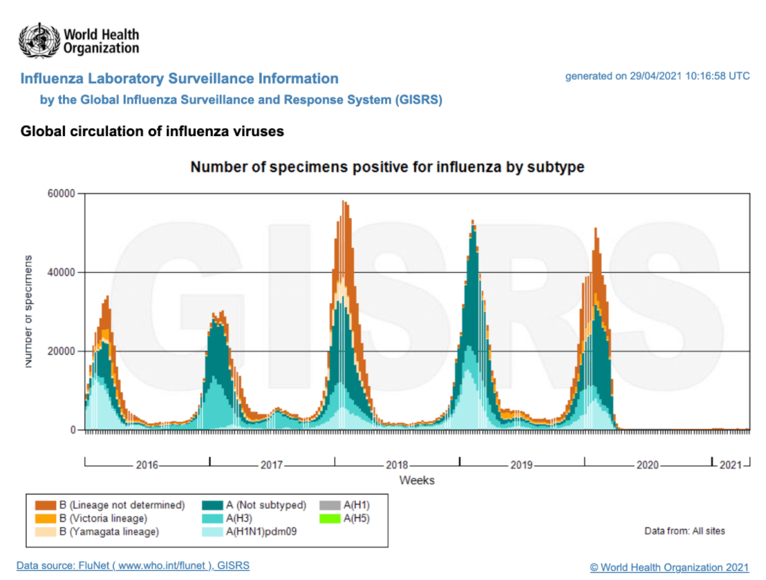 Influenzafälle in der WHO-Datenbank von 2016 bis 2021 (Quelle: WHO / Screenshot: CORRECTIV.Faktencheck)