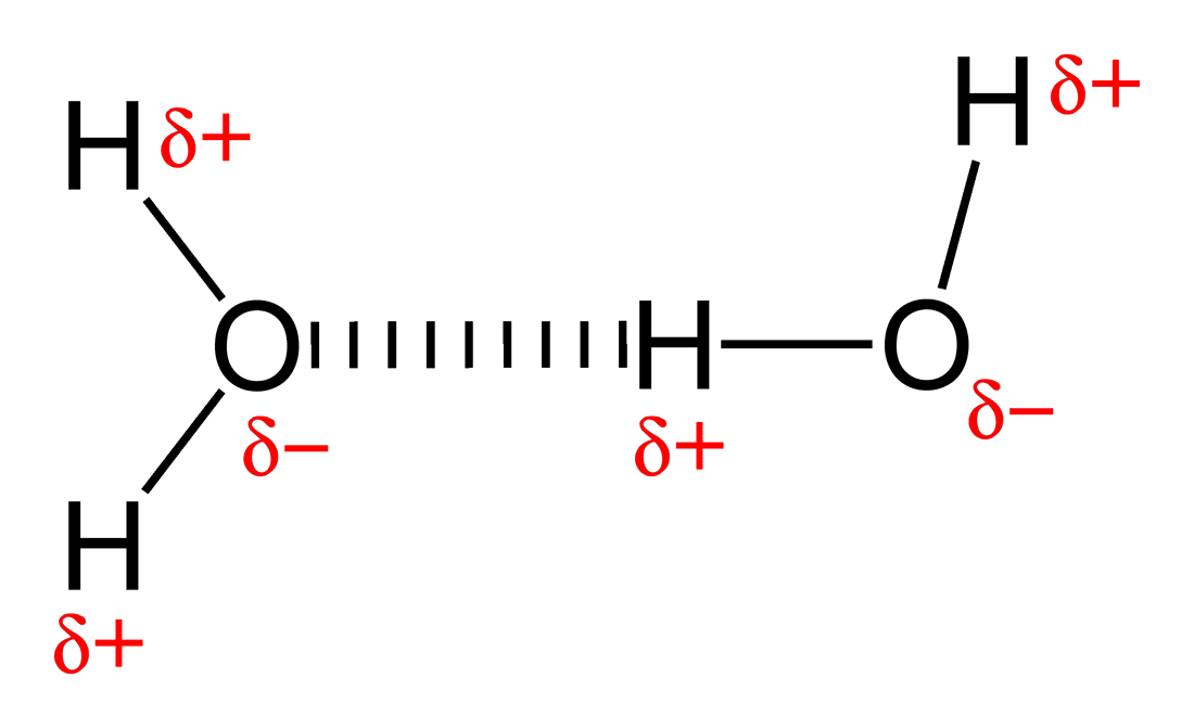 Chemische Formel von 2 Wassermolekülen