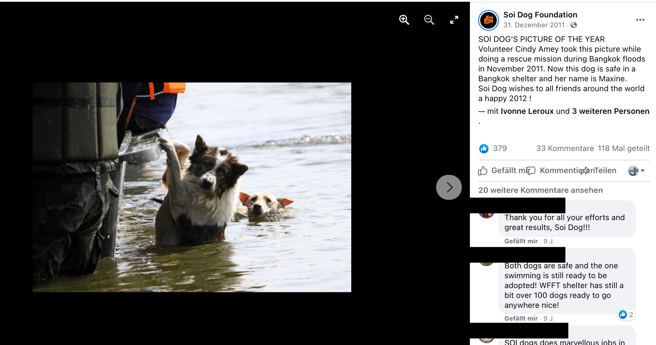Das Foto der beiden Hunde im Wasser wurde von einer Tierschützerin 2011 in Bangkok aufgenommen (Quelle: Facebook, Soi Dog Foundation / Screenshot: CORRECTIV.Faktencheck)