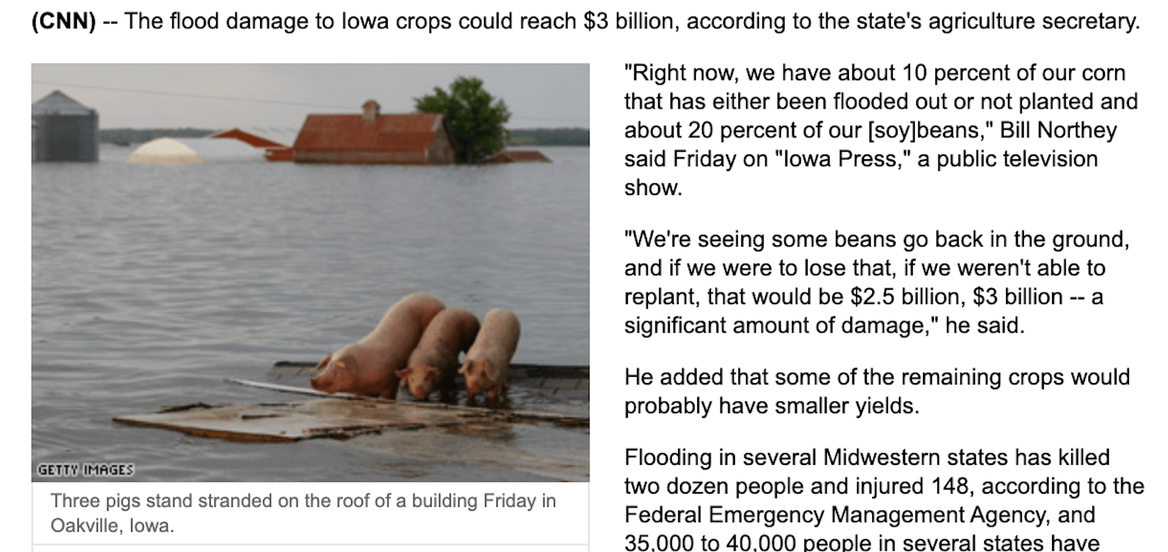 Dieses Foto dreier Schweine stammt nicht aktuell aus Deutschland, sondern von Überschwemmungen im Jahr 2008 in Iowa in den USA (Quelle: CNN / Screenshot: CORRECTIV.Faktencheck)