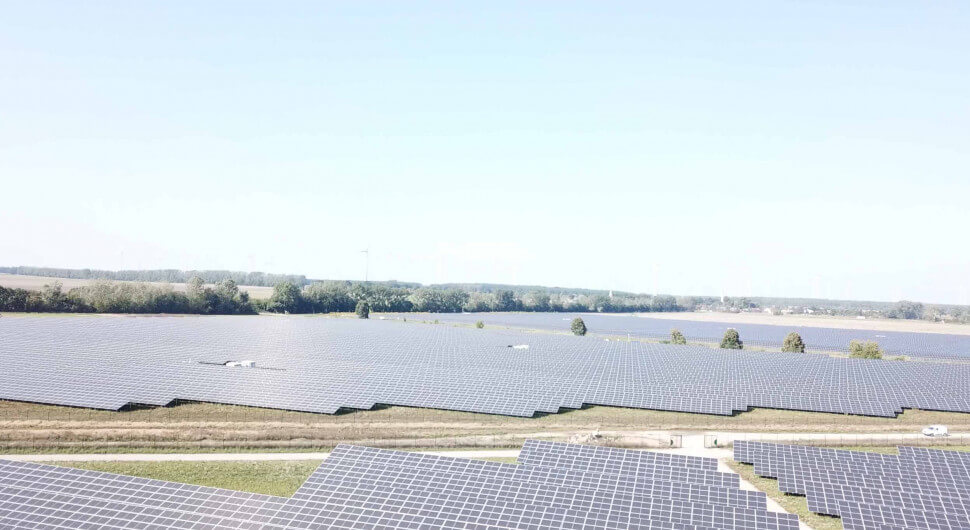 Darum gefährden Solar-Investoren Natur und Landwirtschaft in Brandenburg