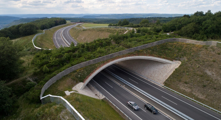 Eine Grünbrücke in Deutschland