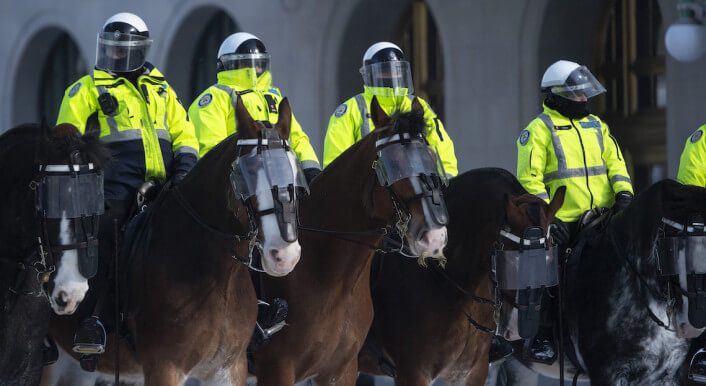 Polizeipferde in Ottawa