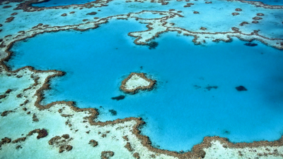 Hoffnung für das Great Barrier Reef?