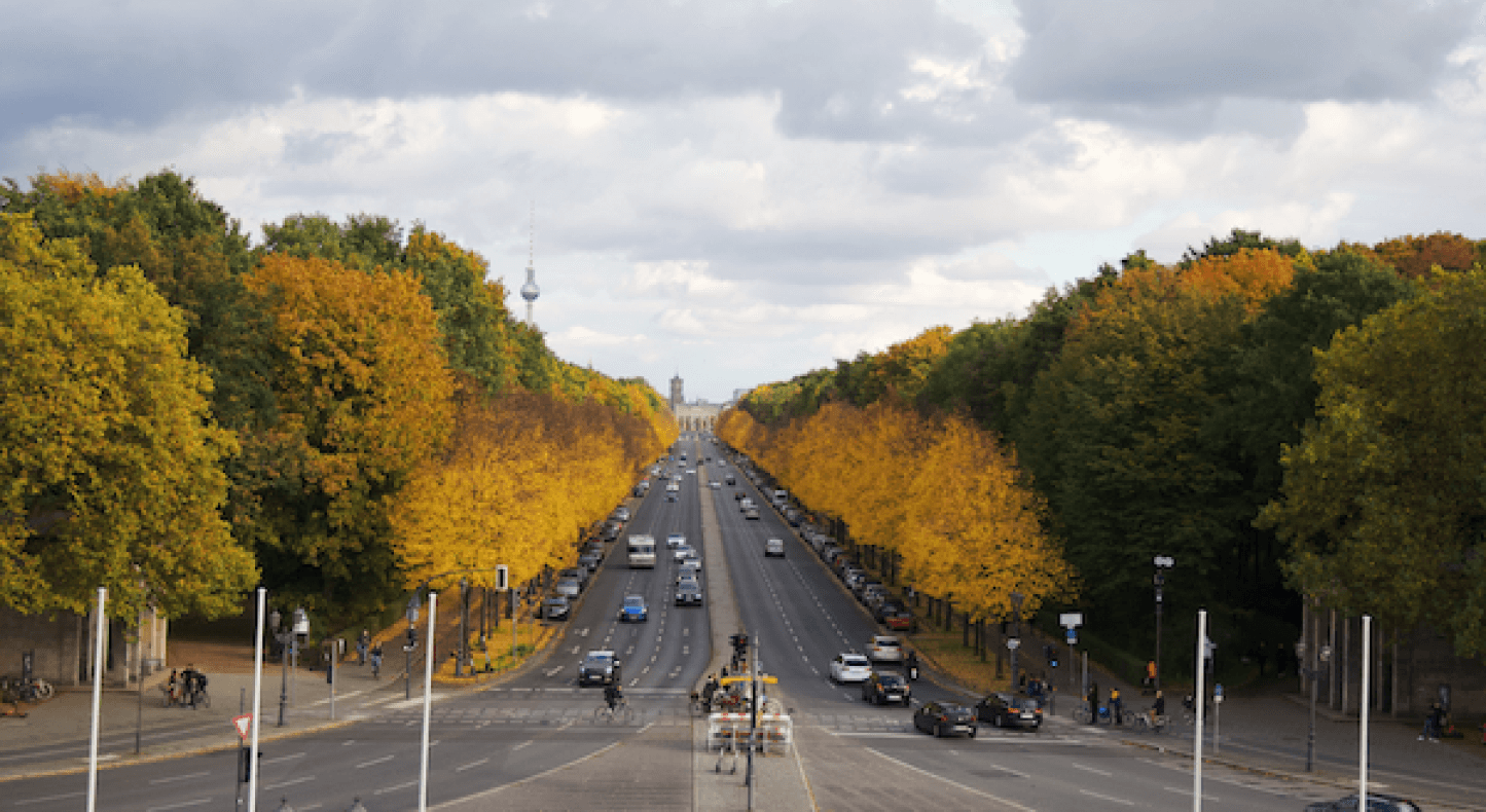 Nein, Berlins Bevölkerung holzt nicht den Tiergarten ab, um zu heizen