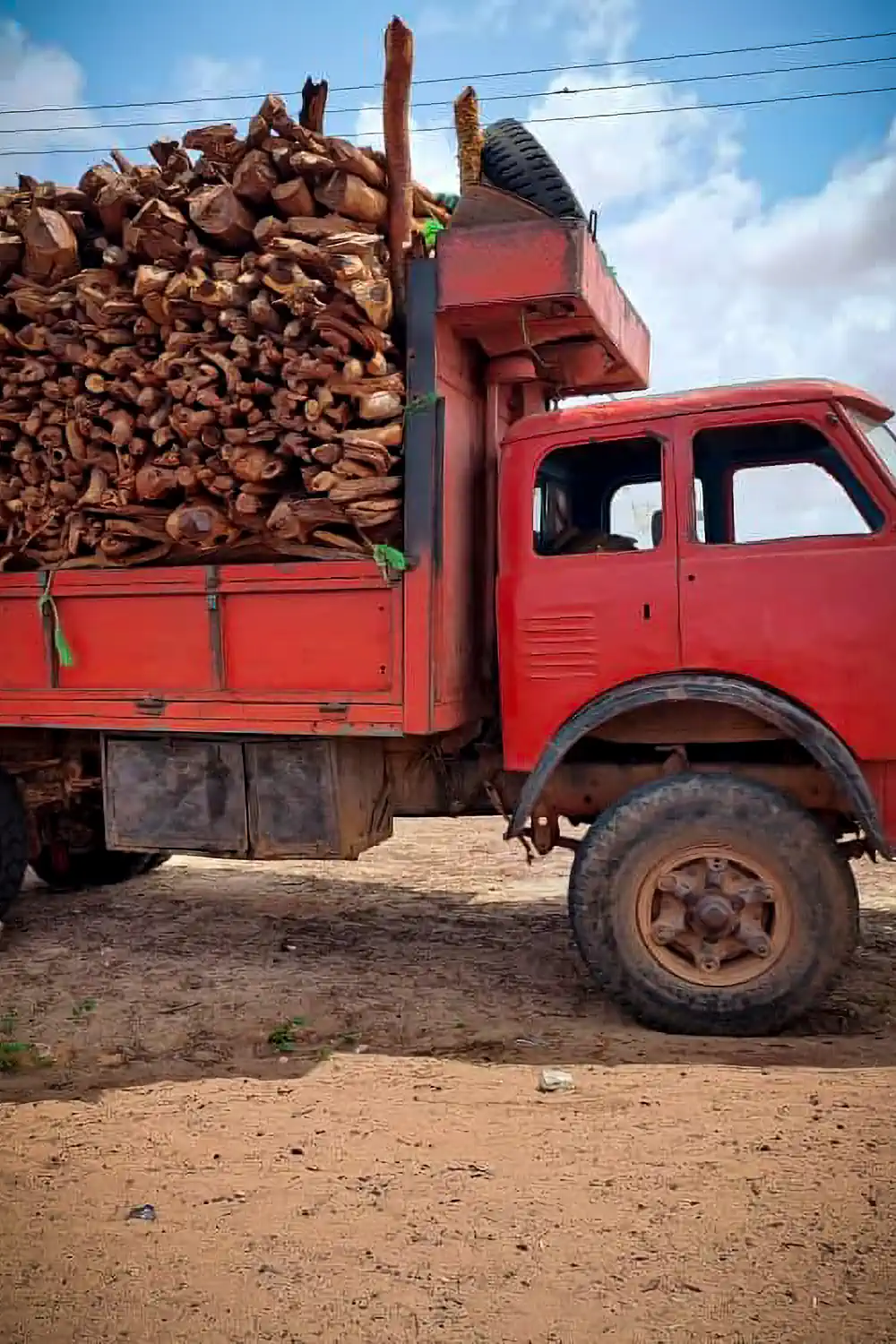 LKW beladen mit Holz