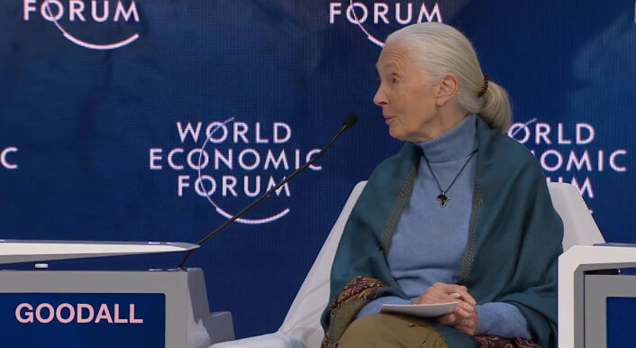 Jane-Goodall-Weltwirtschaftsforum-Entvölkerung