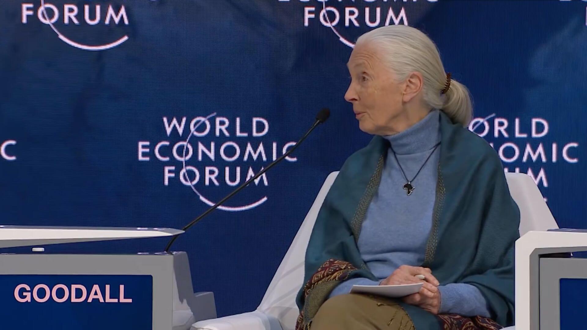 Jane-Goodall-Weltwirtschaftsforum-Entvölkerung