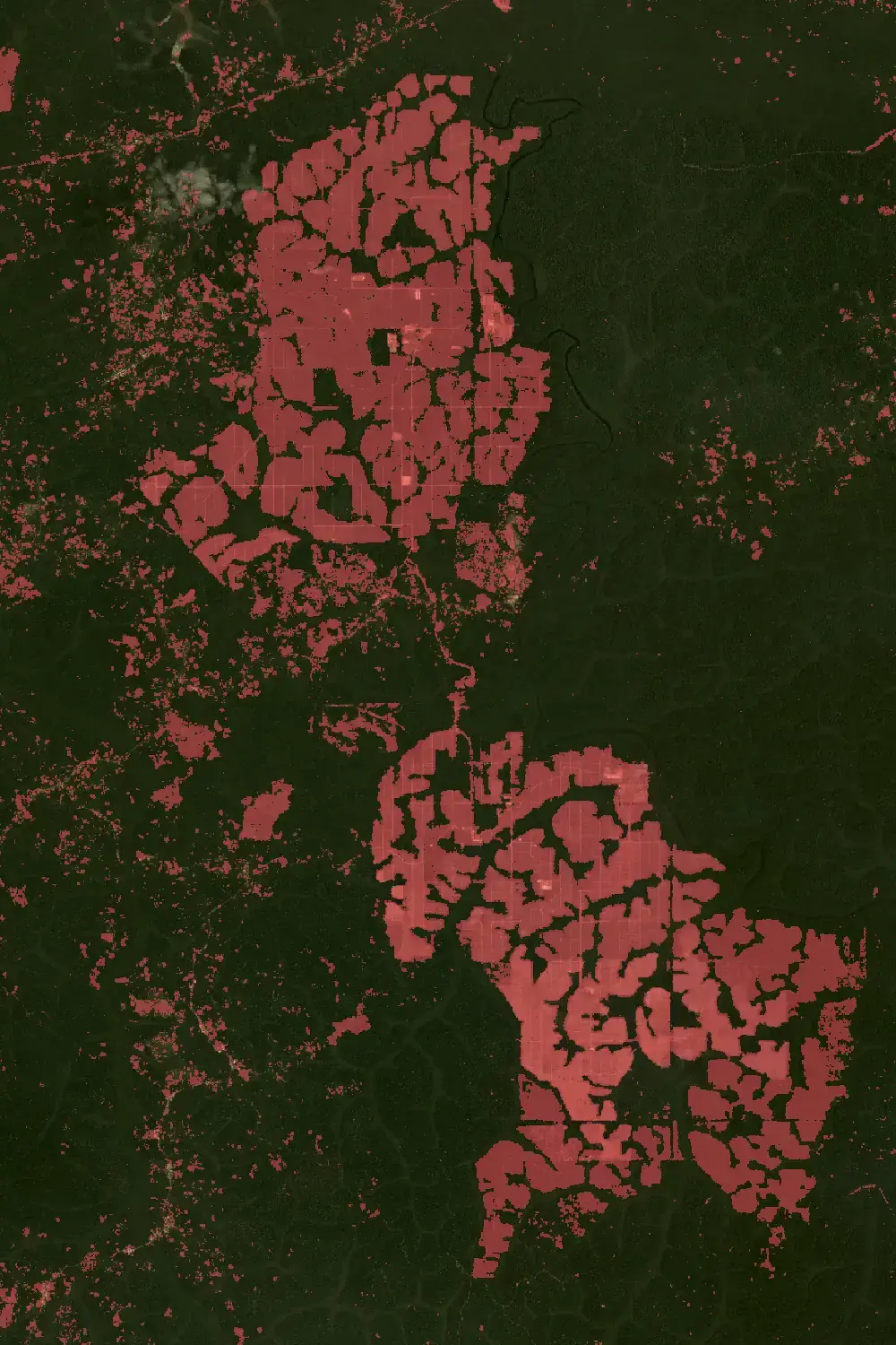 Baumverlust zwischen 2001 und 2018 rund um das Gelände von Sudcam in Kamerun