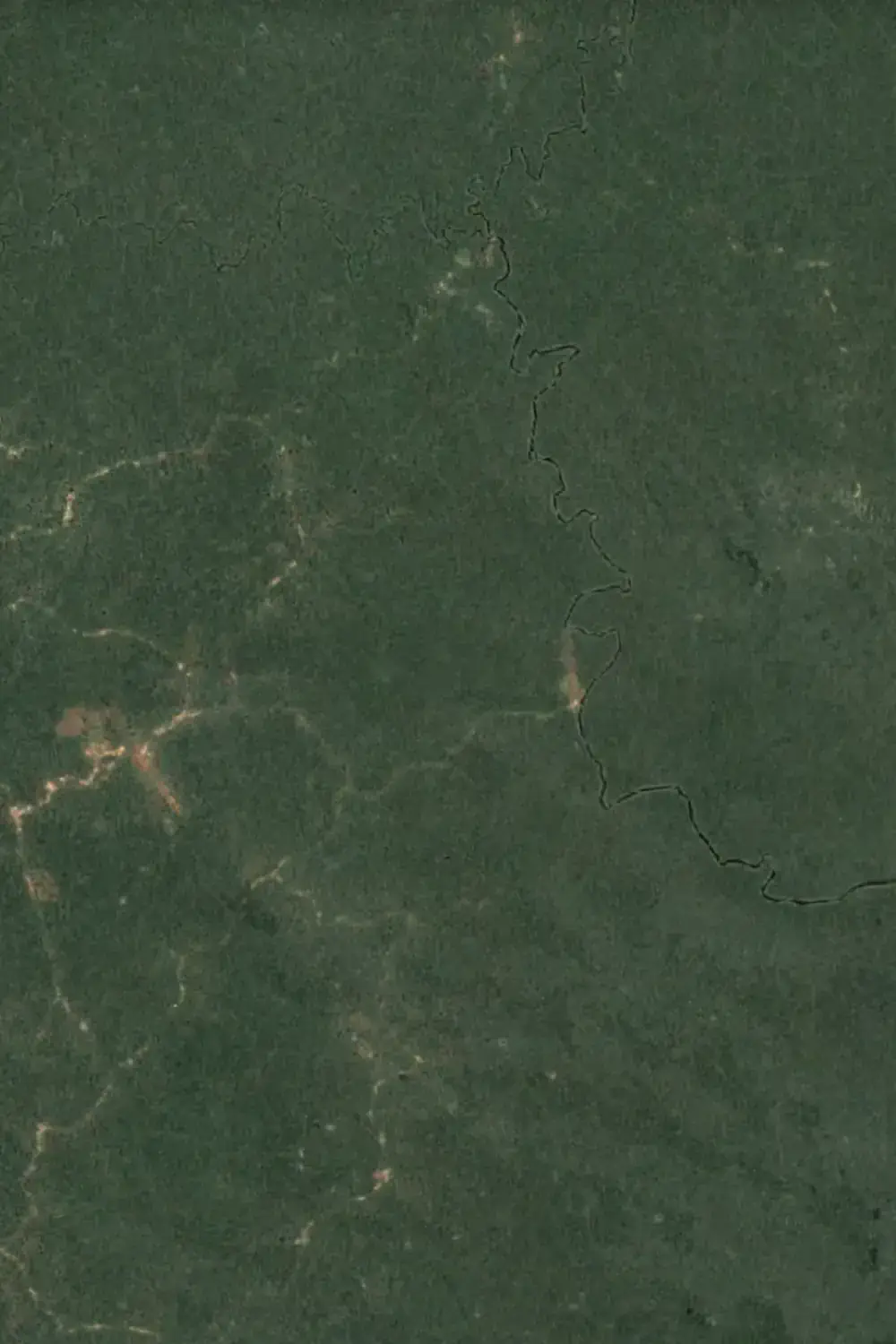 Satellitenbild des Regenwalds vor der Sudcam Plantage in Südkamerun von 2001
