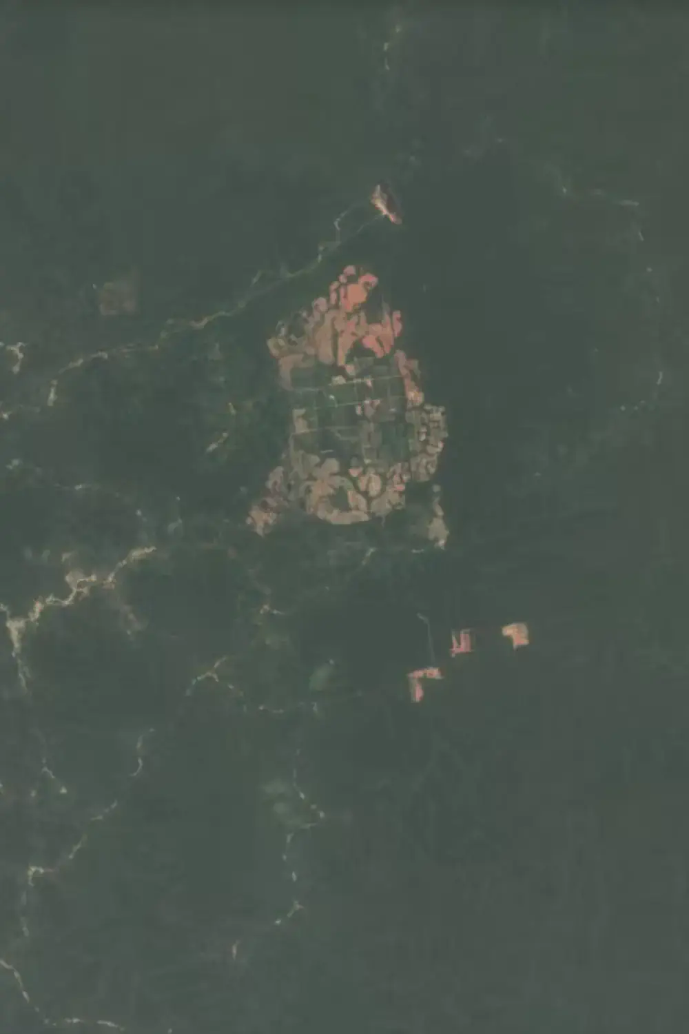Satellitenbild der Sudcam Plantage in Südkamerun von 2015