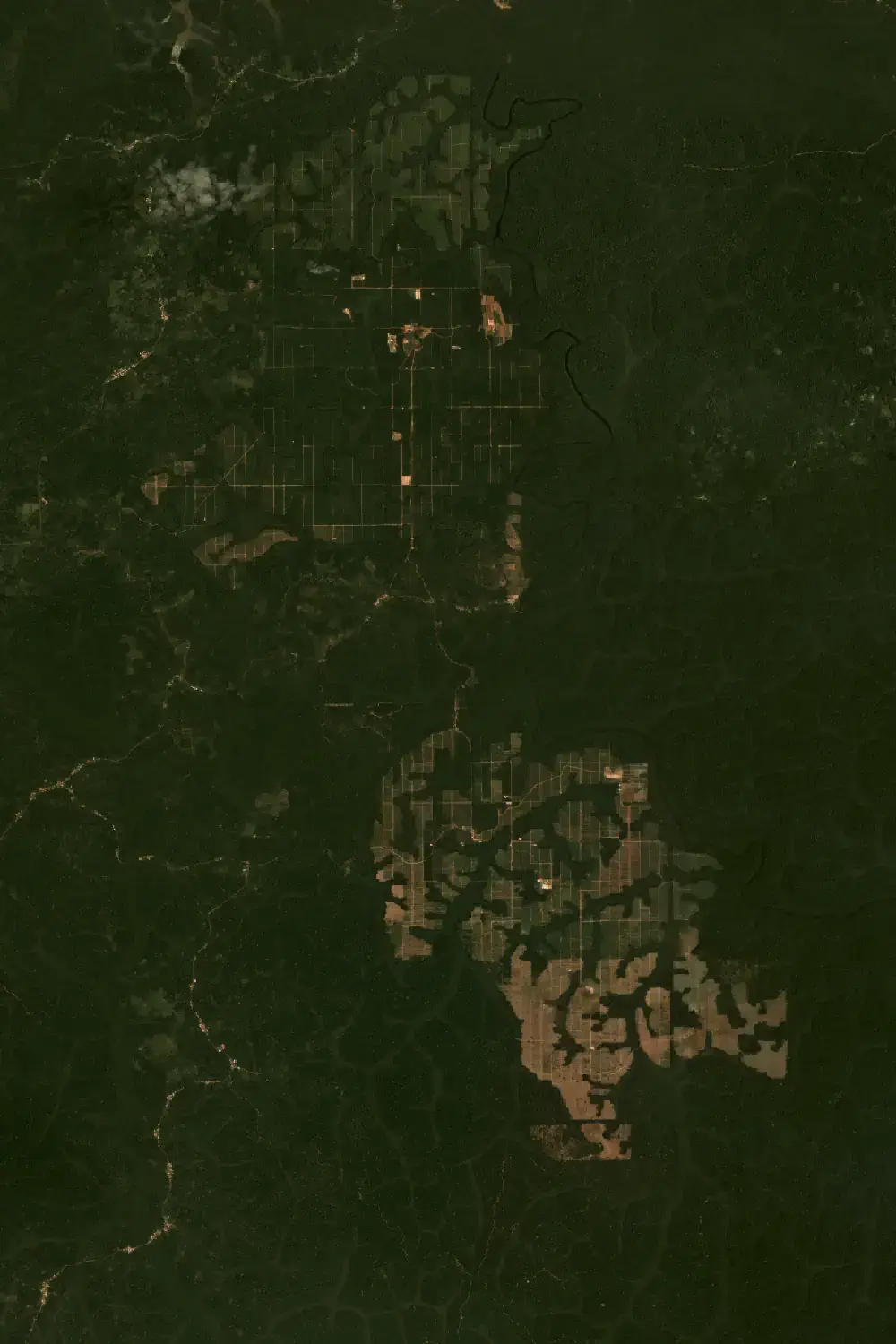 Satellitenbild des Geländes von Sudcam in Kamerun von 2018