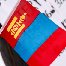 Die Flagge der Mongolei vor einem Schild.
