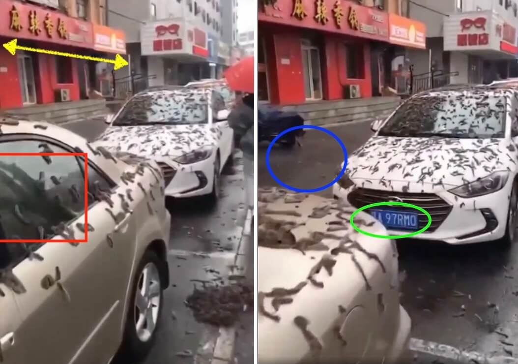 Baum spiegelt sich im Autofenster in China
