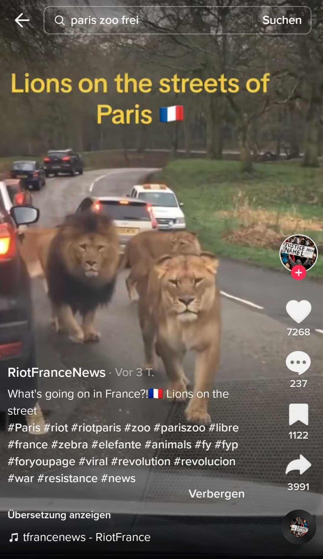 Dieses Tiktok-Video mit Löwen stammt nicht von den Ausschreitungen in Frankreich.