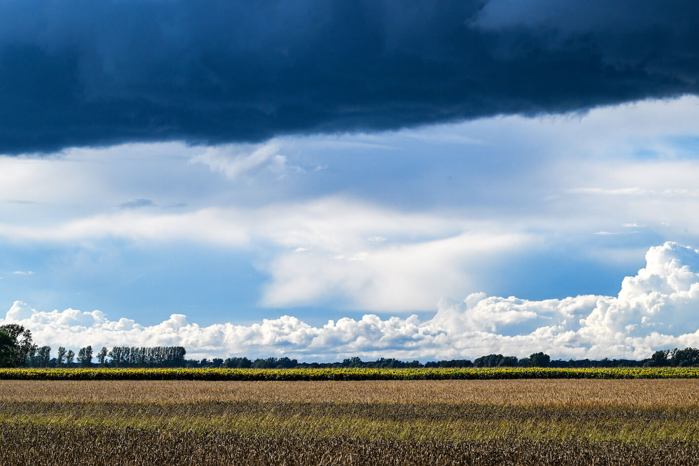 Dunkle Wolken und Abschnitte mit blauem Himmel über einem Feld