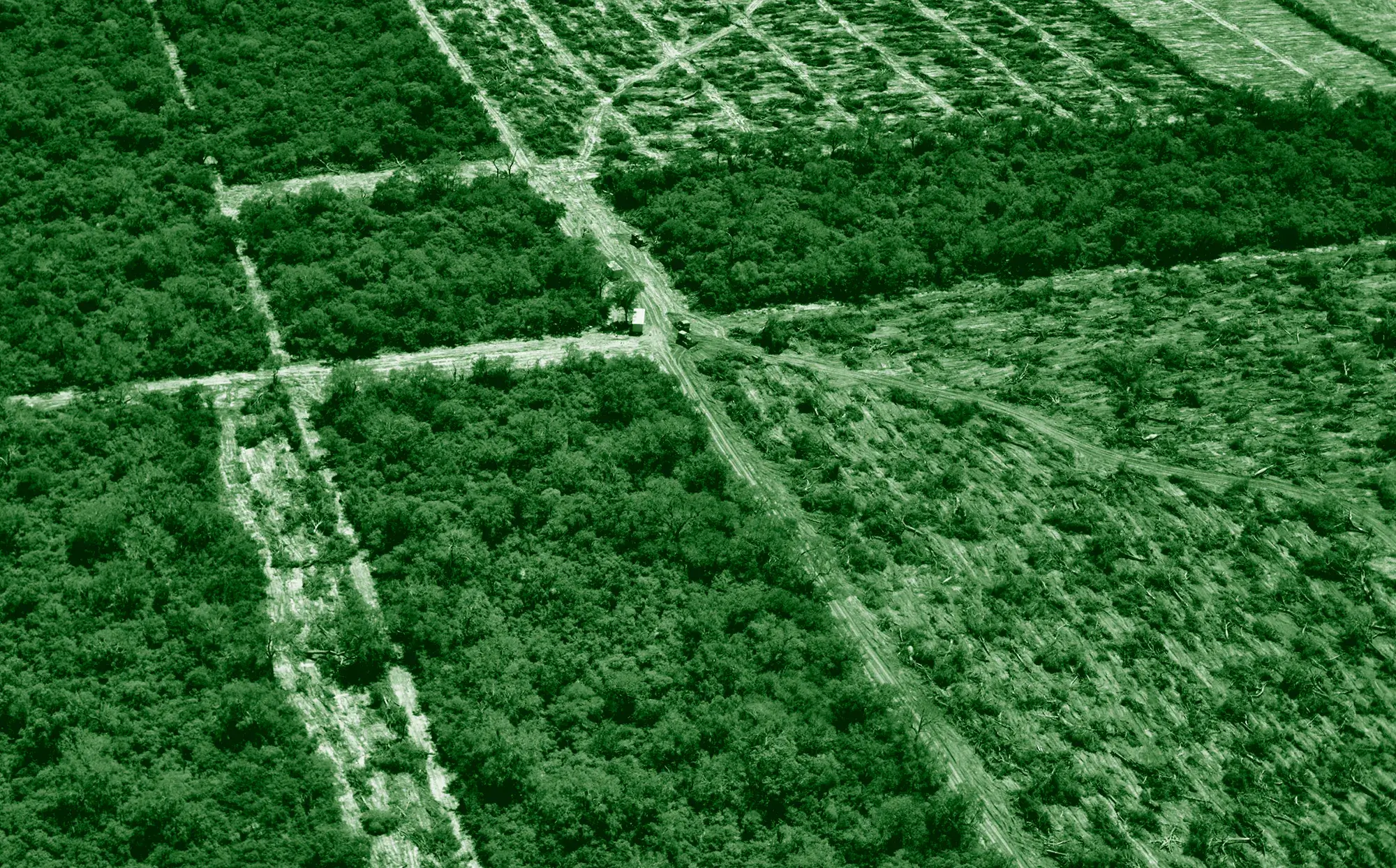Luftbild teilweise abgeholzter Flächen im Gran Chaco in Paraguay.