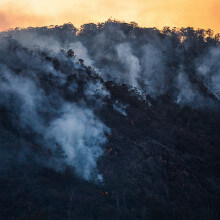 Die Zahl der Waldbrände sinke, die Niederschlagsmenge steige. Der Klimawandel sei also nicht so schlimm, behauptet der Mediziner Paul Brandenburg.