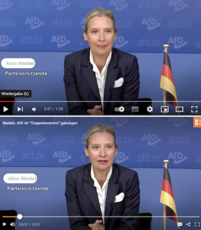 Nein, In Diesem Video Spricht Alice Weidel Nicht Wirklich Arabisch