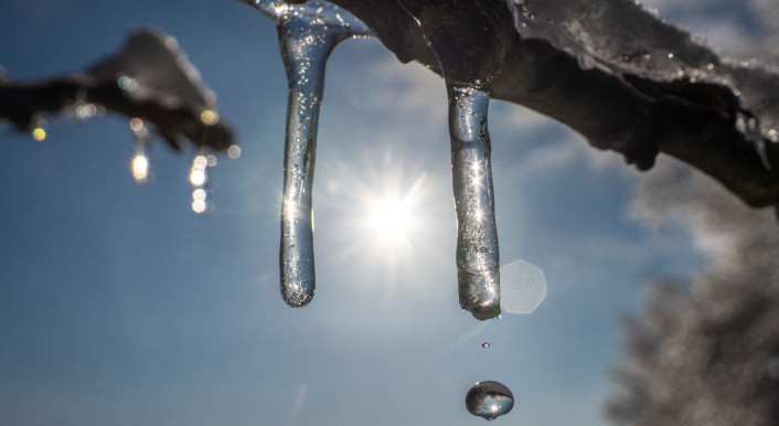 Symbolbild schmelzende Eiszapfen an einem Ast, im Hintergund scheint die Sonne