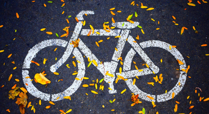 Herbstblätter liegen auf einem Radweg mit Fahrrad-Symbol