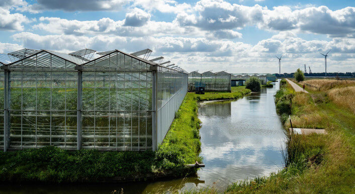 Gewächshäuser in Süd-Holland im Jahr 2022
