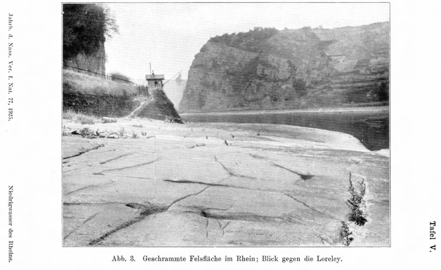 Das Schwarzweiß-Foto vom Rhein stammt aus dem Band 77, Jahrbuch des Nassauischen Vereins für Naturkunde 