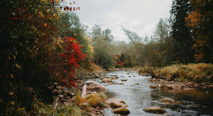 Foto: Kristaps Ungurs / unsplash.com