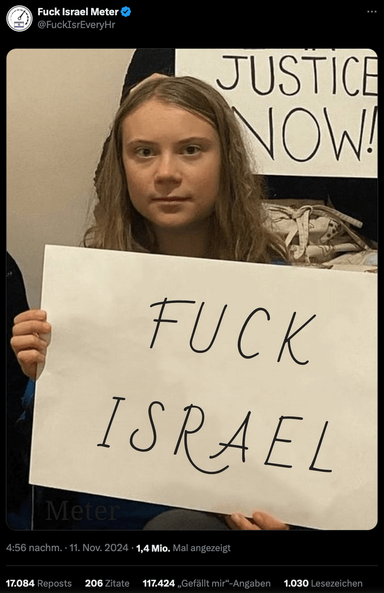 Dieses manipulierte Foto von Greta Thunberg verbreitet sich auf X. Das Original mit der Aufschrift „Stand with Gaza“ teilte Thunberg selbst.