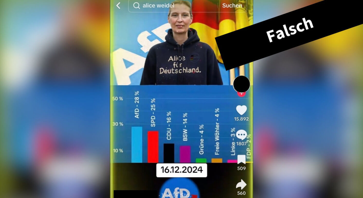 afd-wahlumfrage-bundestagswahl-2025-rtl-landtagswahlö-brandenburg