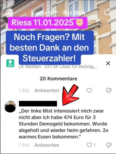 Bild zeigt einen Kommentar von einem Nutzer auf Tiktok. Er behauptet, er habe 474 Euro „Demogeld“ für drei Stunden und zweimal warmes Essen bekommen, sei abgeholt und nach Hause gefahren worden.