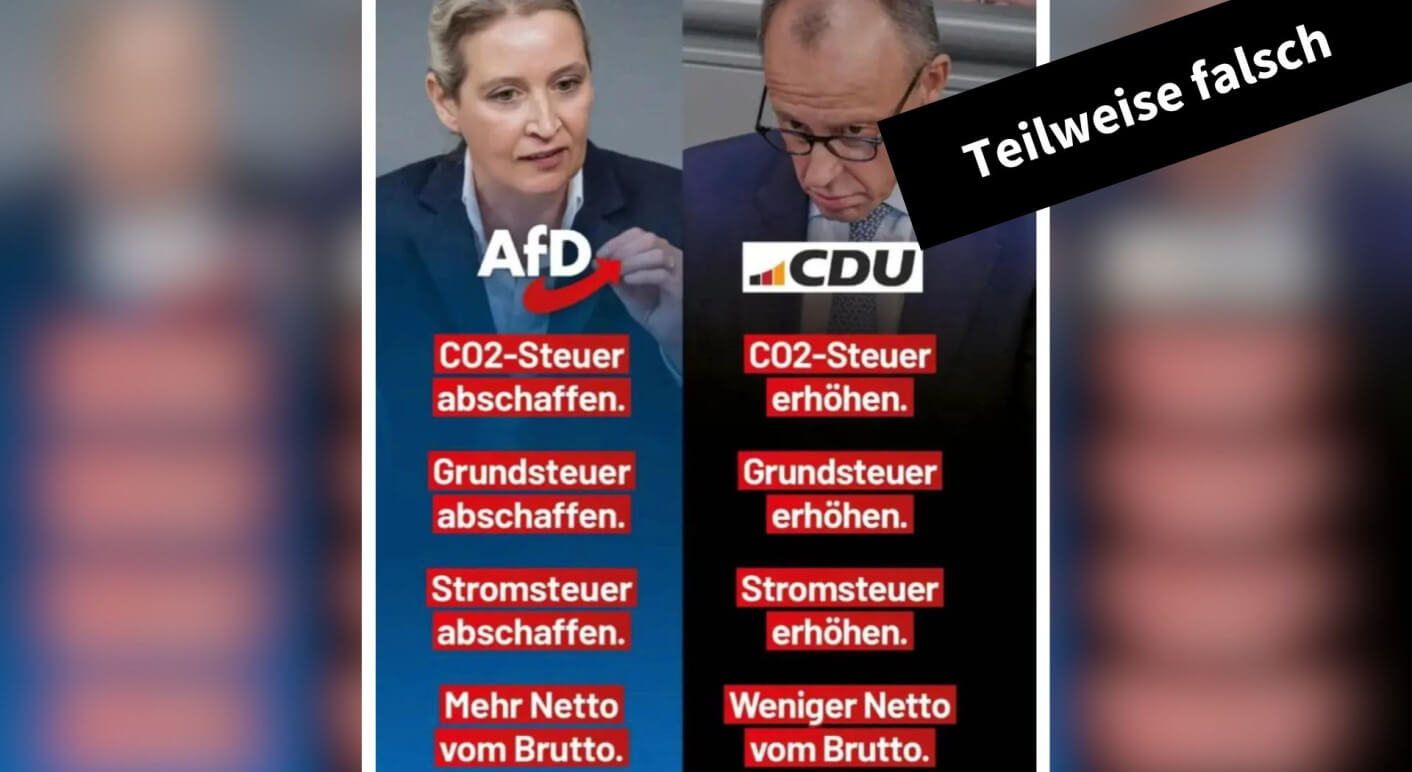 afd-cdu-vergleich-wahlprogramm-bundestagswahl-wahlkampf-2025