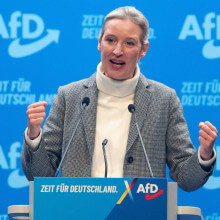 Alice Weidel behauptete im Gespräch mit Elon Musk, Adolf Hitler sei Kommunist gewesen. Das widerspricht allen historischen Tatsachen